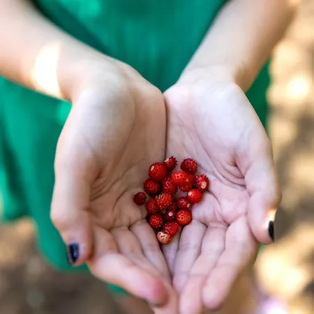 Lodge Caloroczne Koczalski Chillout Kaszuby *